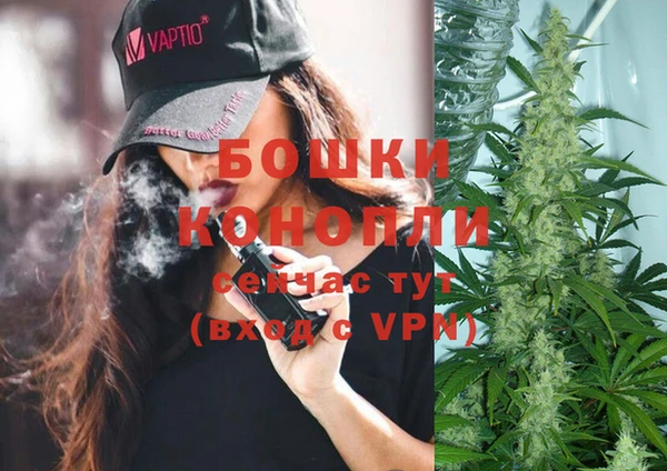 бошки Няндома