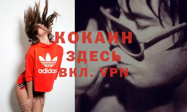 бошки Няндома