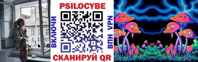 Псилоцибиновые грибы GOLDEN TEACHER  Кольчугино 