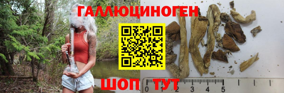 Галлюциногенные грибы GOLDEN TEACHER Кольчугино